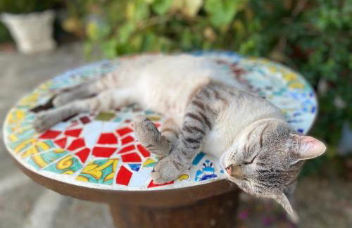 ViLoKa Sicilian Guest House - Foto 38