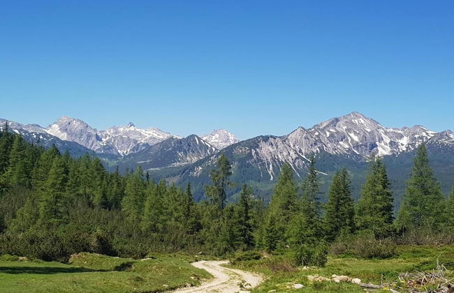 Room-holiday Home Kahr Apartment Roßbran - Photo 35