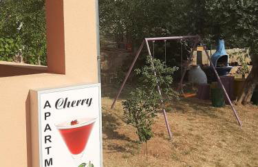 Apartments Cherry - Photo 27