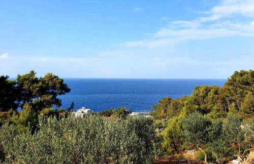 Apartmani M&S - Photo 37