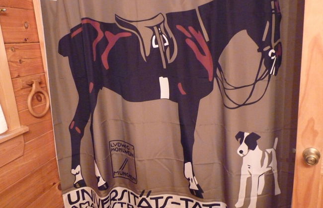 Horseshow Hideaway – Pet Friendly Cabin, 7 Minutes to TIEC - Foto 14