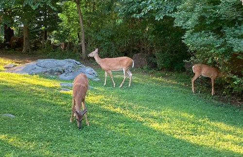 Lux Home 5 min to Train and Airport - Foto 32