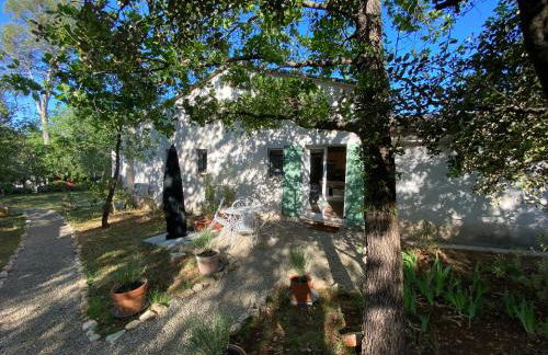 La Magistrale - Foto 8