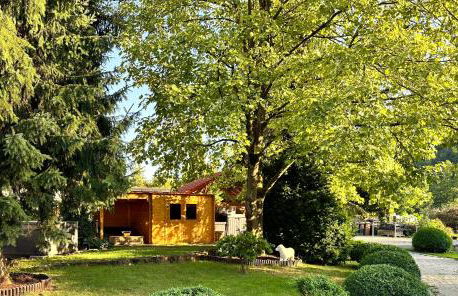 Apartment direkt an der Waldnaab - Foto 27