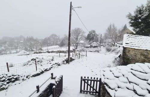 Cardenha da Bessada - Foto 51