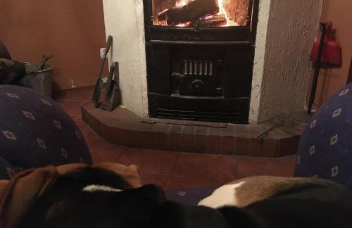 Domek Myśliwski Las Vegas - Foto 18