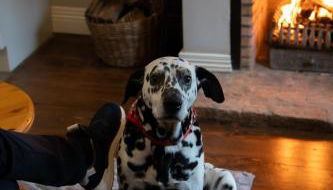 Tully Mill Cottages - Foto 3