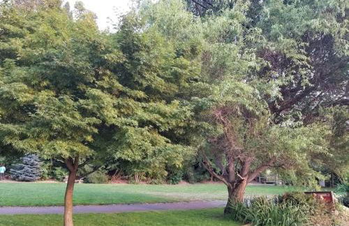 Tech, Travelling Nurse, UW, Seattle Lake Union, SU - Foto 42