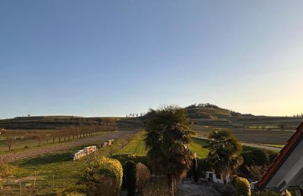 Ferienwohnung Regina mit traumhafter Aussicht - Foto 16