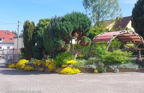 Ferienwohnung Bienwald mit Pool für 4 - 6 Personen mit 3 Schlafzimmern - Foto 41