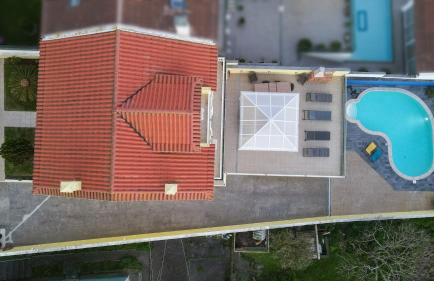 Whale Song - Photo 5