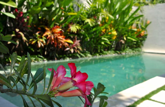 Villa Bali Asri Batubelig - Foto 74