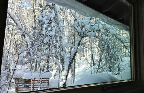 Secluded Waterfront Cabin Rental on Lake Superior near Red Cliff, Wisconsin - Foto 73