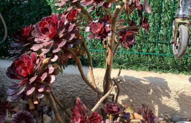 Maison de plage - Foto 16