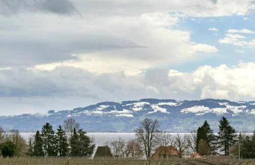 Obst- Und Ferienhof Marschall - Foto 57