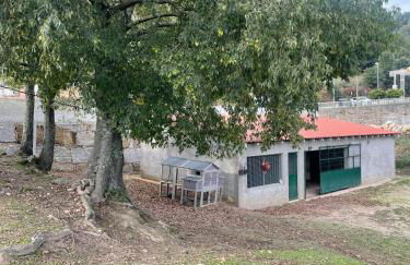 Quinta do Rio Douro - Turismo Rural - Foto 40