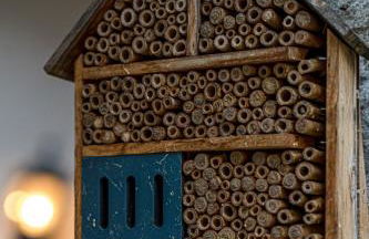 Krebiehls Winkelhof - Foto 23