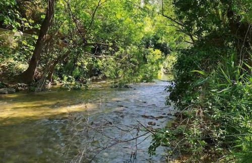 Las Casicas del Tío Ángel-A - Foto 16