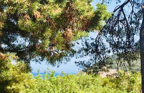 CASA RIBAS - Photo 24