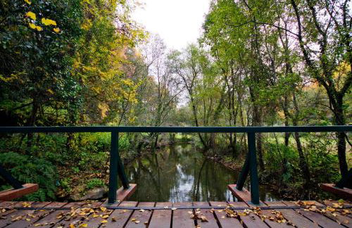 Quinta de Mourães Casa dos Rododendros - Foto 37