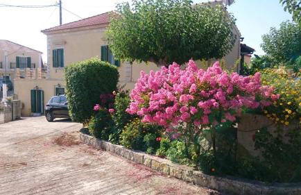 Traditional House - Photo 41