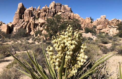 Shooting Star Lodge - Foto 40