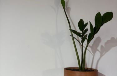 Eolie all'orizzonte - Foto 21