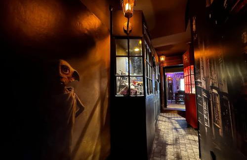 LA CHAMBRE DES SECRETS, Magique, Hyper-centre, 9 Couchages - Foto 33