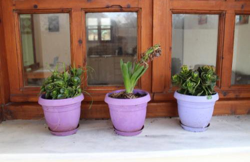 Felia Villa - Foto 68