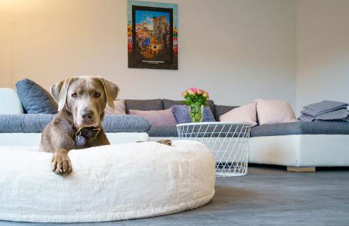 Ferienwohnung Rauszeit Lennestadt Sauerland - Foto 12