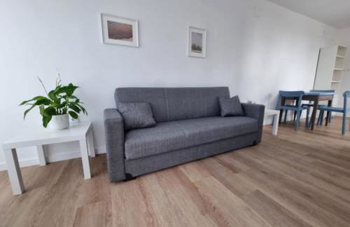 Apartamentos y estudios EL CENTRO - Foto 8