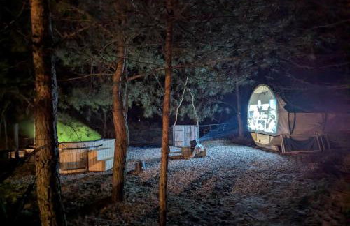 Forreset - leśny reset - Foto 60