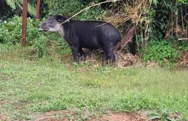 Chalets Vistas del Poas - Foto 20