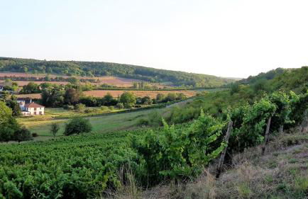 Haus mit Seele im Nahetal - Foto 48