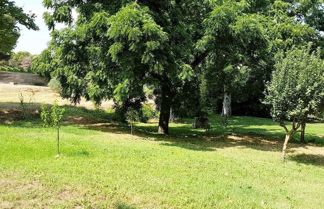 Chateau Saint Martin de Graves - Foto 39