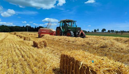 Ferienhof Kornmayer - Foto 5