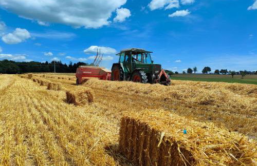 Ferienhof Kornmayer - Photo 5