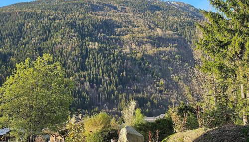 Studio Saint Antoine Les Houches - Foto 5