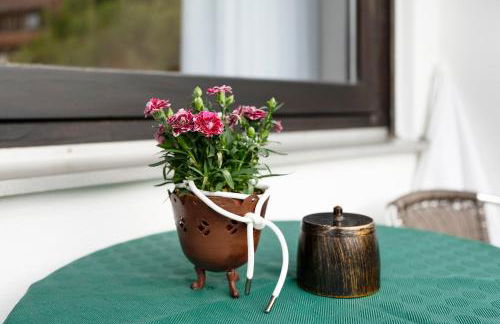 Haus Seiler - Foto 64