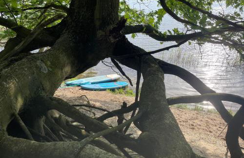 Niemtscher Lodge am See - Foto 8