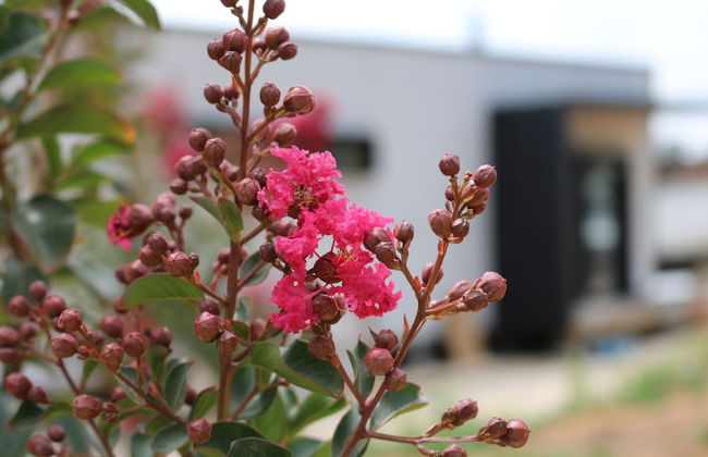 Pavilions at Lenswood - Foto 32