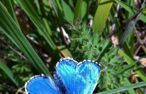 Savoir Vivre Modern Retreat - Foto 68