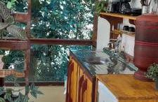 Morena Flor Cabana - Foto 10