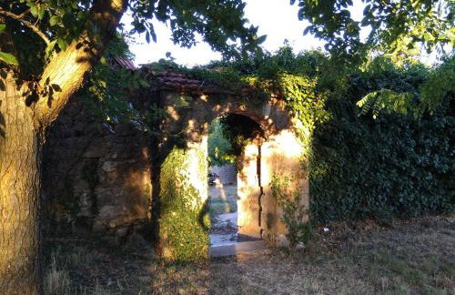 Jankovich Castle - Photo 25