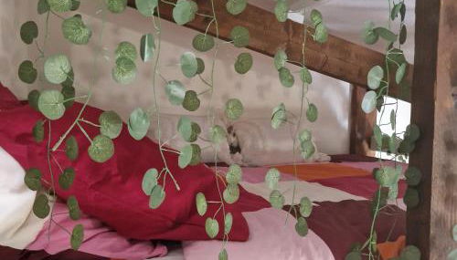 Paris Villette by metro 7, France Stadium, break moment studio - Foto 4