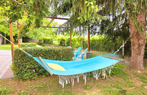 Casa do Avô Manuel - Foto 9