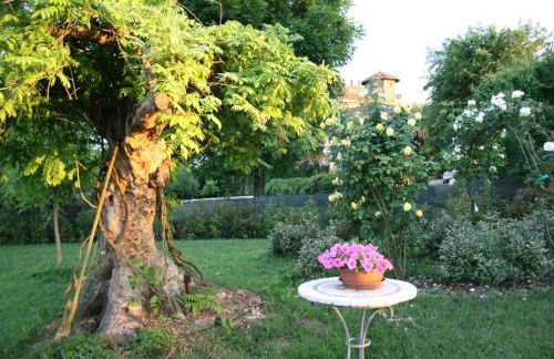 Agriturismo Argaland - Photo 157