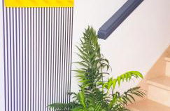 Ke Casetta Tenerife Salvador and Santiago apartments - Foto 40