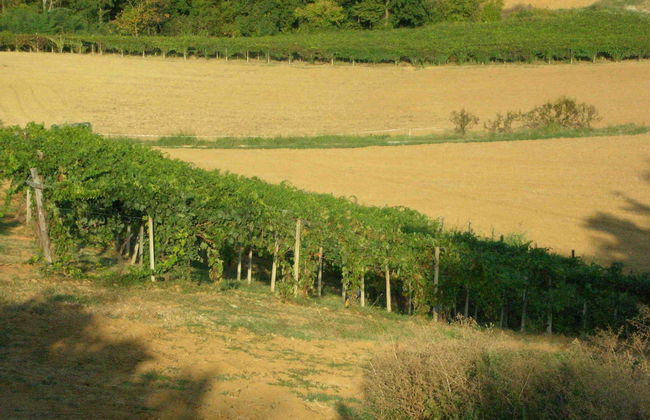 Casa Isabella - Foto 49