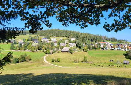 FeWo Gretel Schönwald - Foto 19